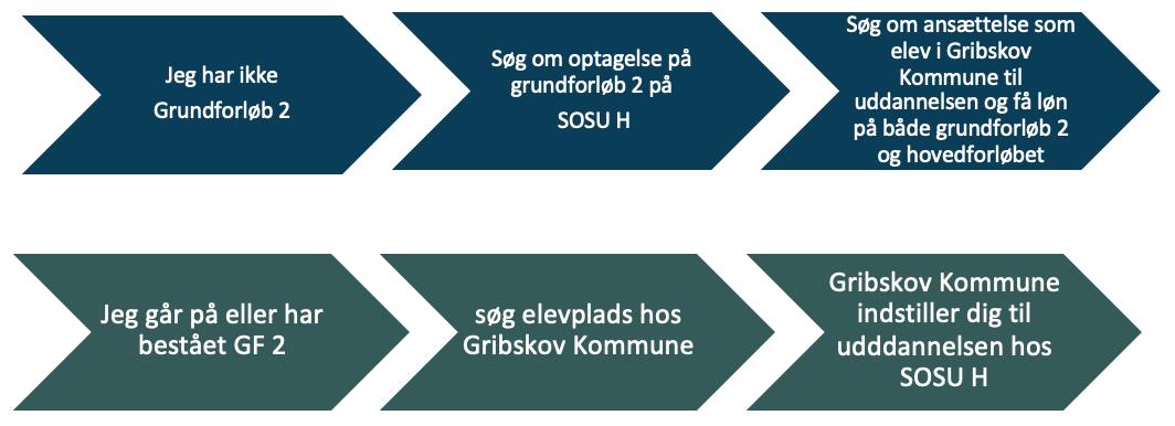 Vejen til Social - og sundhedshjælperuddannelsen