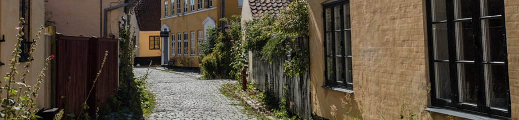 Billedet viser Dragør Kommune i en given situation. Klik for at gå til Dragør Kommune forside.
