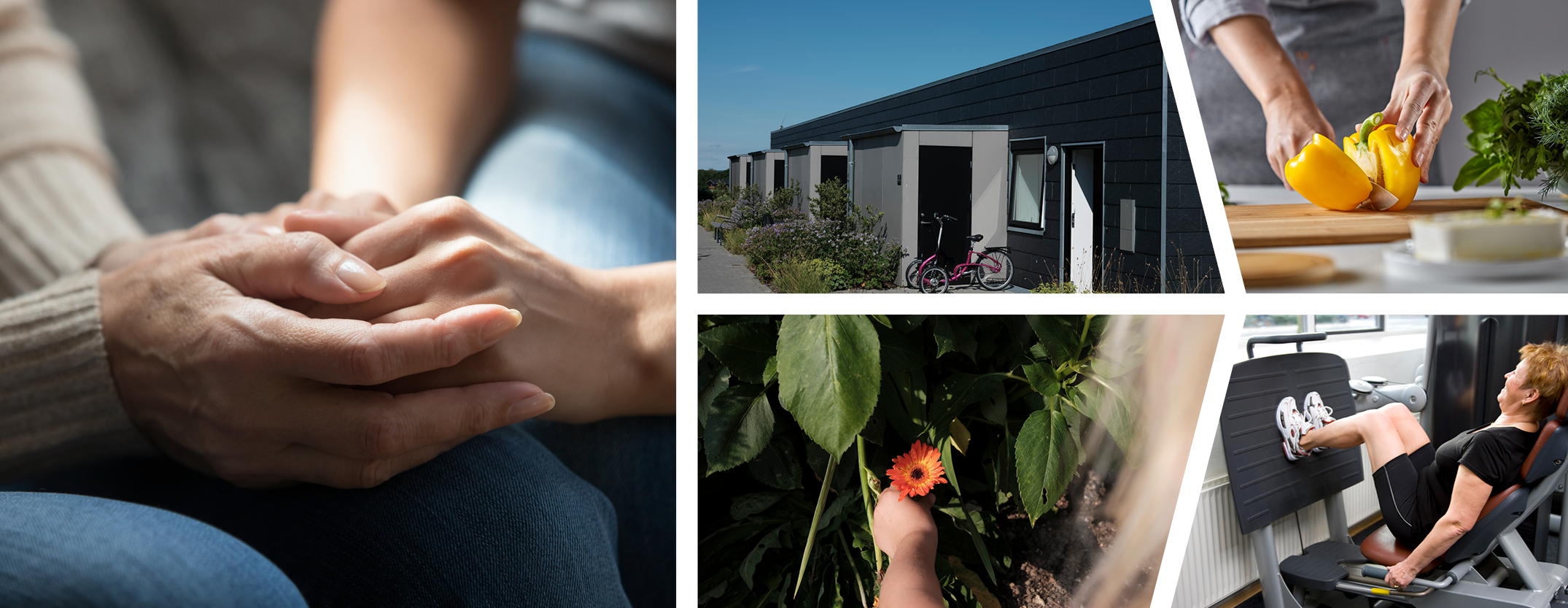 Billedet viser Favrskov Kommune i en given situation. Klik for at gå til Favrskov Kommune forside.