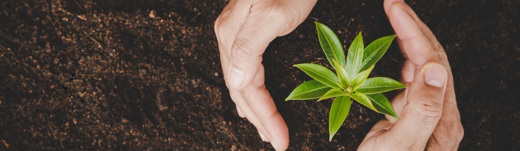 Billedet viser Horsens Kommune i en given situation. Klik for at gå til Horsens Kommune forside.