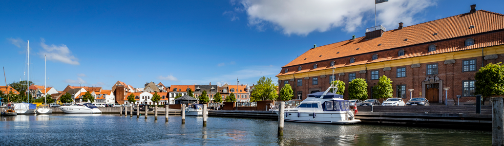 Billedet viser Horsens Kommune i en given situation. Klik for at gå til Horsens Kommune forside.