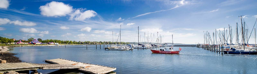 Billedet viser Horsens Kommune i en given situation. Klik for at gå til Horsens Kommune forside.