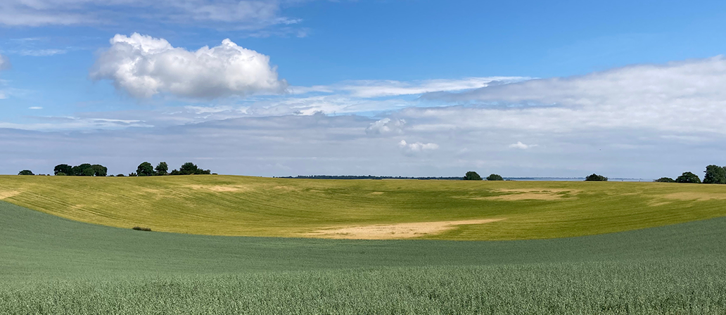 Billedet viser Lolland Kommune i en given situation. Klik for at gå til Lolland Kommune forside.