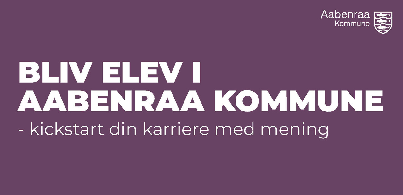 Billedet viser Aabenraa Kommune i en given situation. Klik for at gå til Aabenraa Kommune forside.