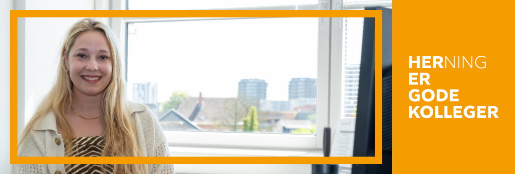 Billedet viser Herning Kommune i en given situation. Klik for at gå til Herning Kommune forside.