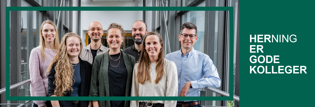 Billedet viser Herning Kommune i en given situation. Klik for at gå til Herning Kommune forside.