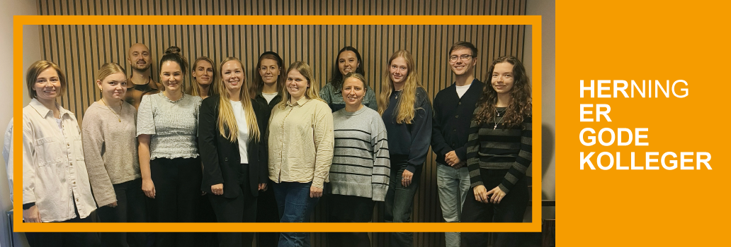 Billedet viser Herning Kommune i en given situation. Klik for at gå til Herning Kommune forside.