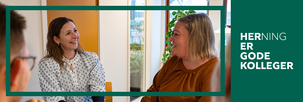 Billedet viser Herning Kommune i en given situation. Klik for at gå til Herning Kommune forside.