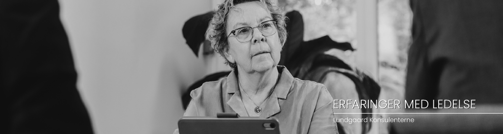 Billedet viser Lundgaard Konsulenterne i en given situation. Klik for at gå til Lundgaard Konsulenterne forside.